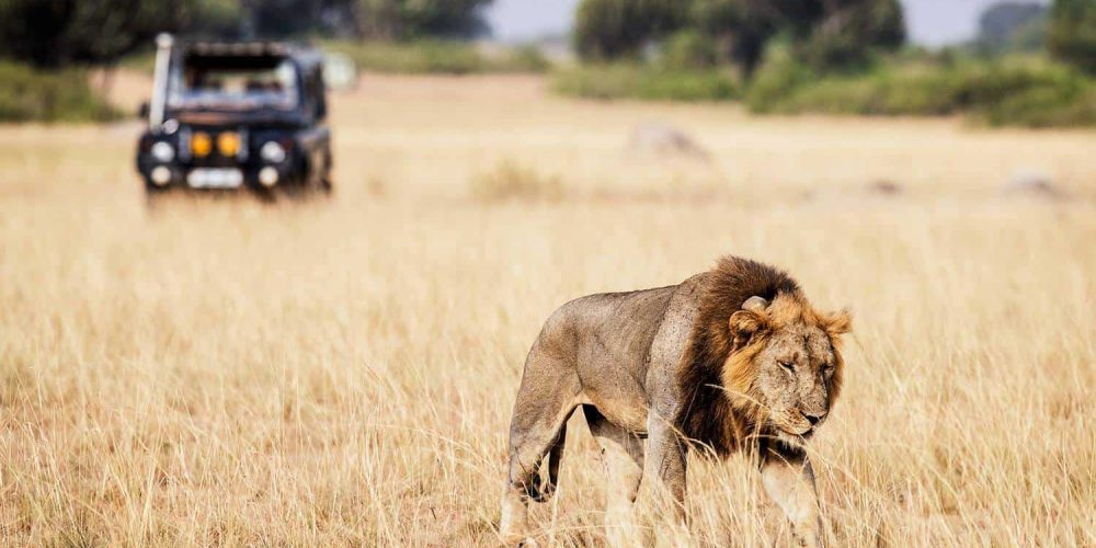 Best Kenya Discovery Safari
