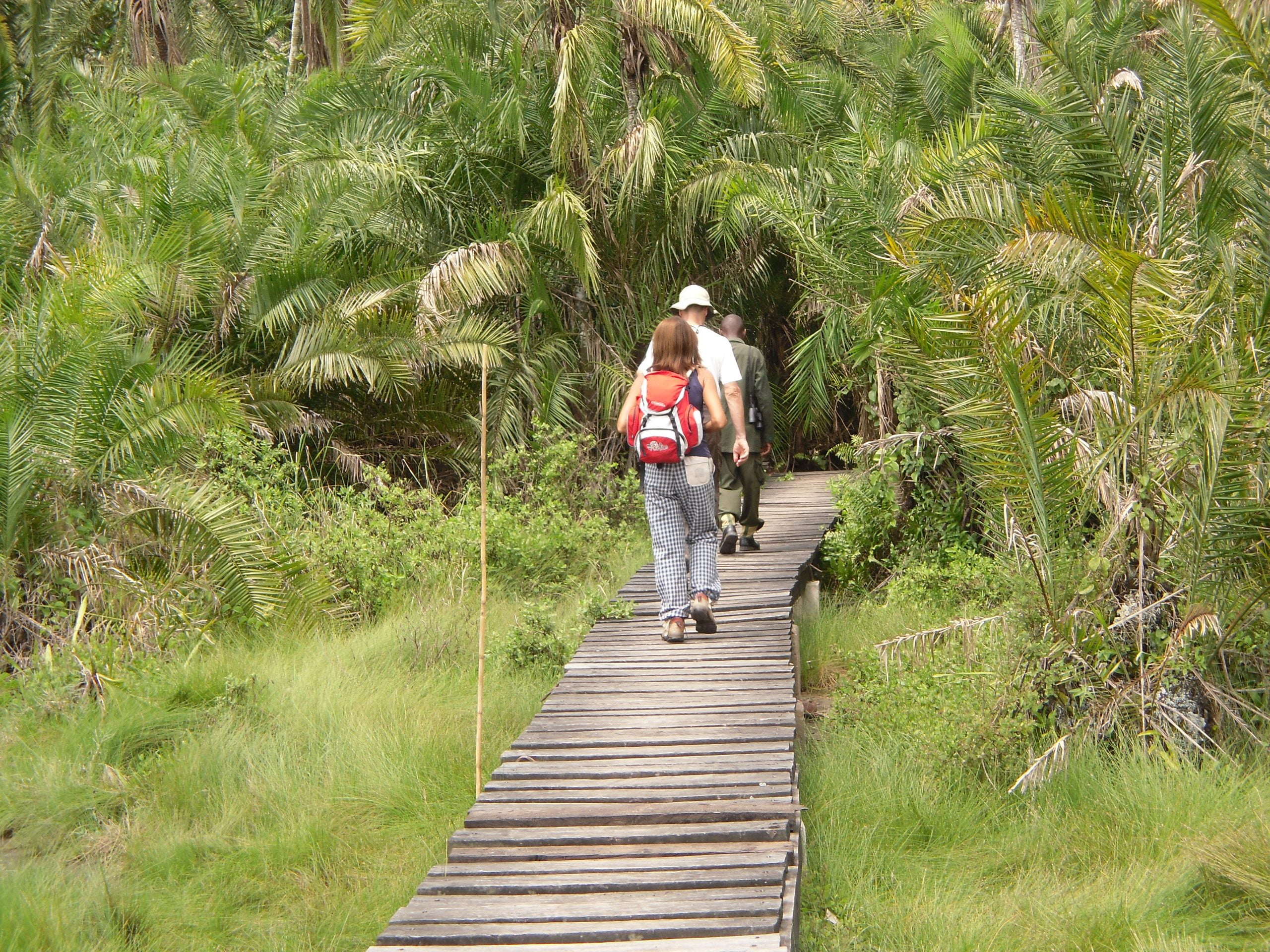 Tarangire National Park 