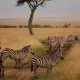 Nature Guided Walking Safaris in Kenya