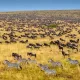 Kenya Safaris Tour Holidays